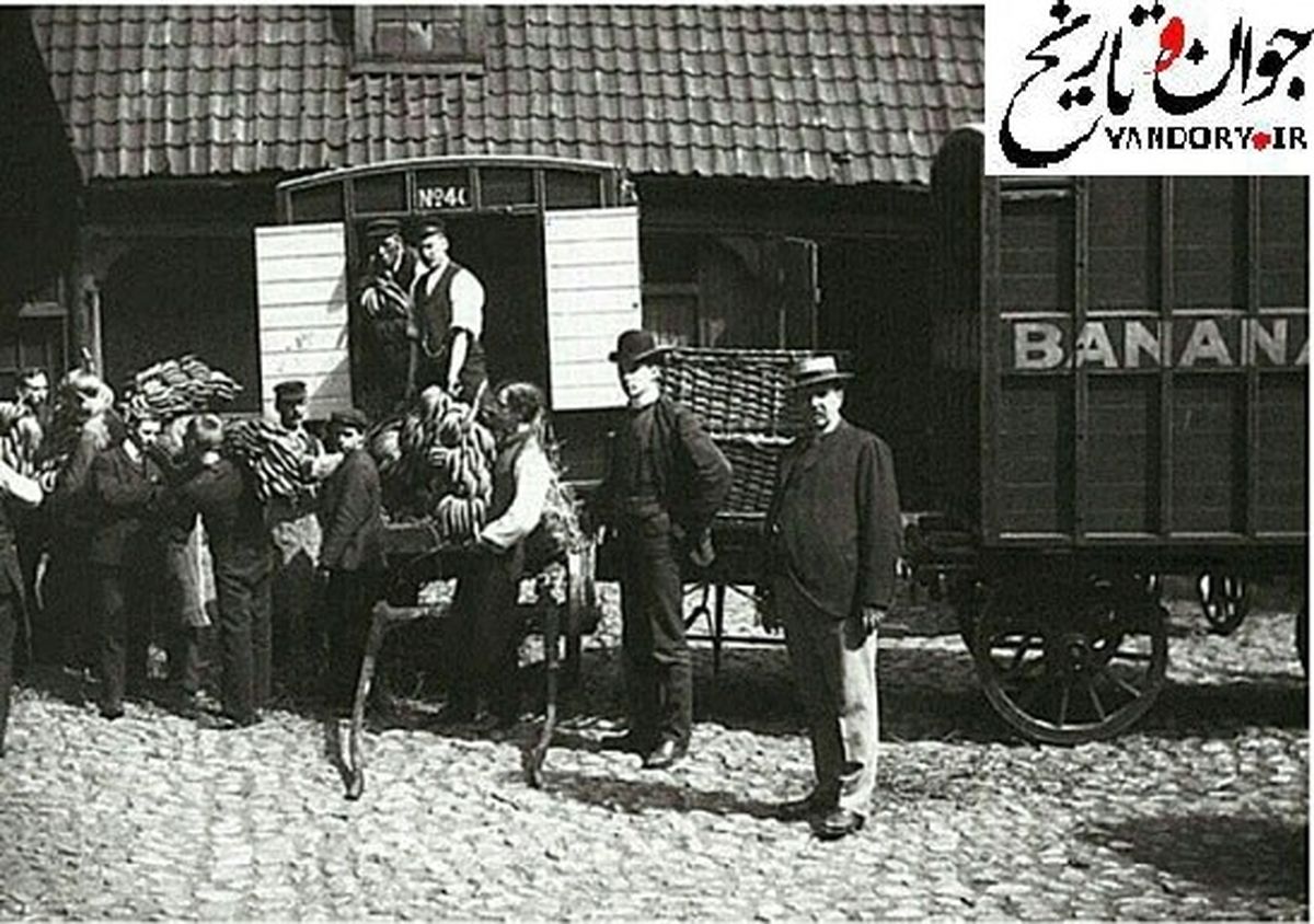 عکس: ورود اولین محموله موز به نروژ