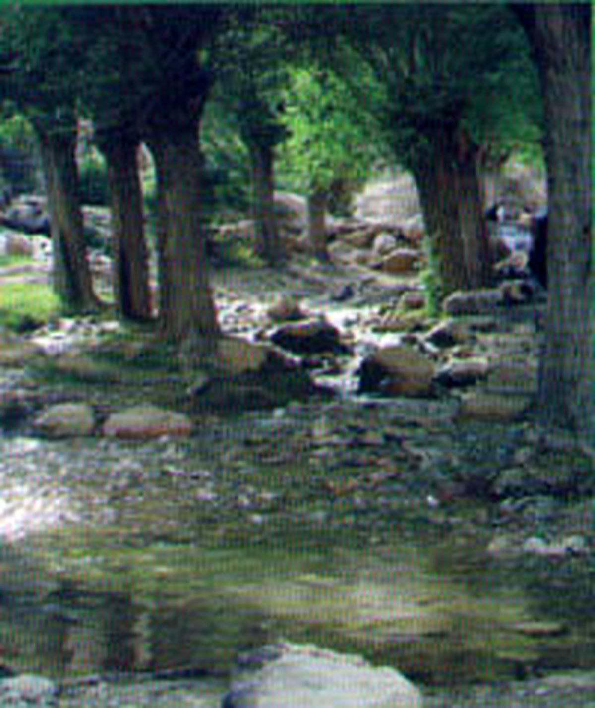 سفر خاطره‌انگیز به چشمه قلقل در ایام نوروز +عکس