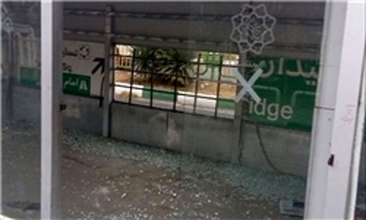 خانه دوچرخه محل اسکان گربه‌های شهر +تصاویر