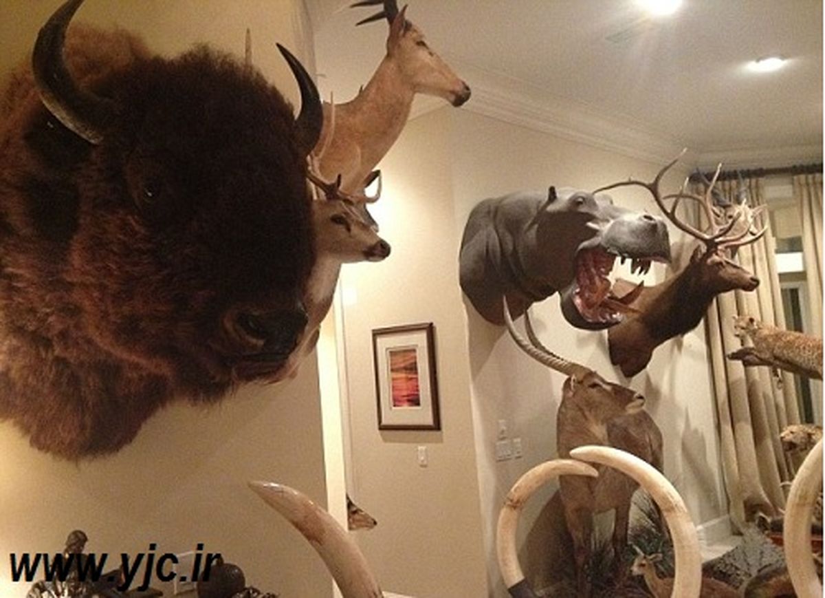 باغ وحشی در میان خانه + تصاویر