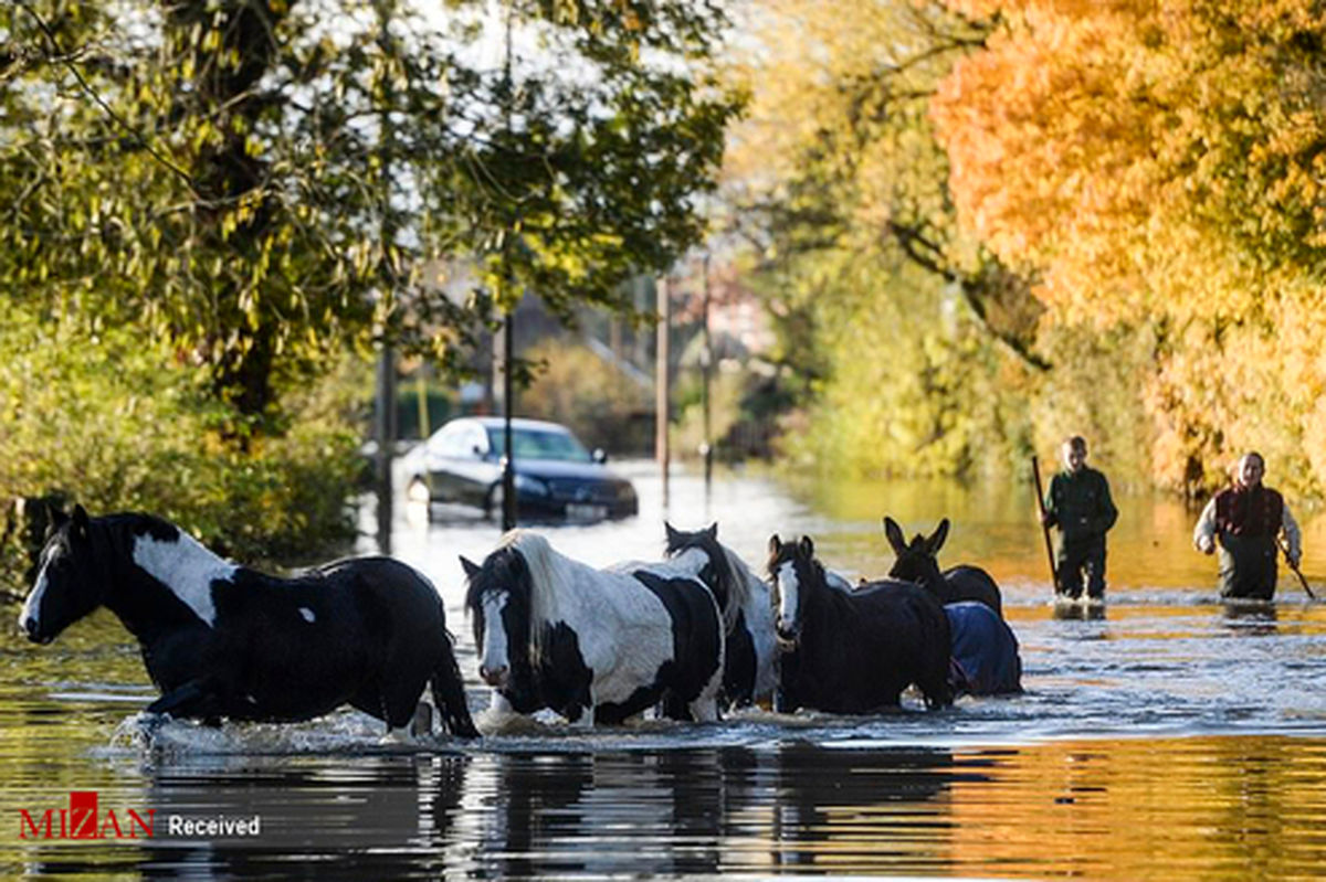 تصاویر: خسارات سیل انگلیس