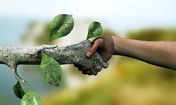 پیش‌بینی درآمد ترکیه از محل گردشگری درمانی و سلامت