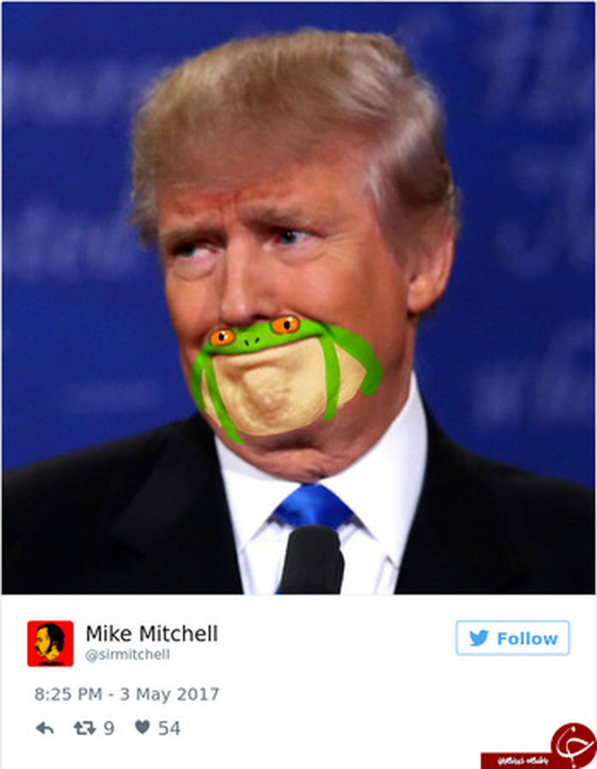 وقتی «ترامپ» قورباغه میشود! +تصاویر