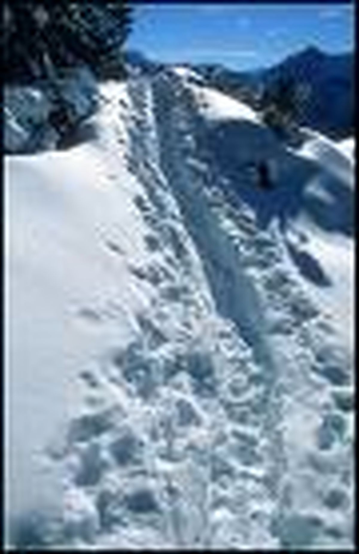 کشته شدن دو نفر بر اثر بارش برف در آمريکا