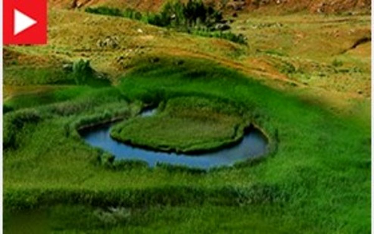 فیلم: طبیعت اعجاب انگیز چمن‌های متحرک در شهر ایرانی!