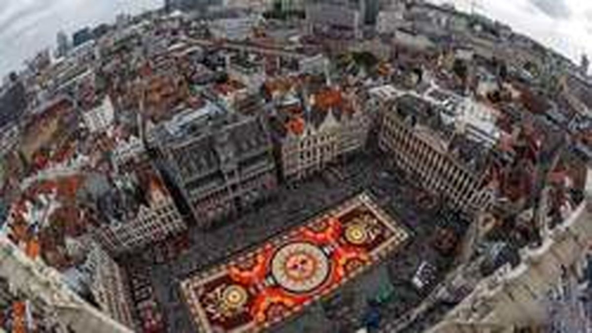 فرش گُل در بروکسل +تصاویر