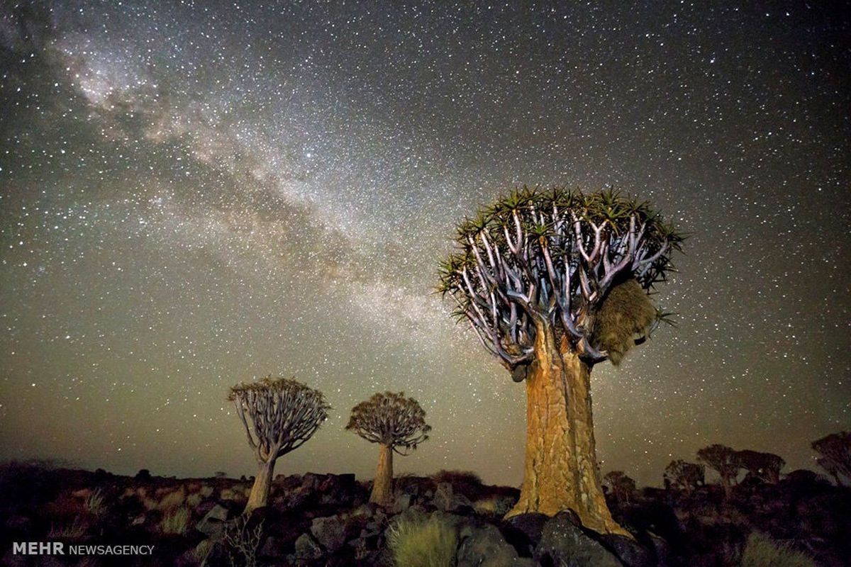 تصاویر/آسمان پر ستاره دشت