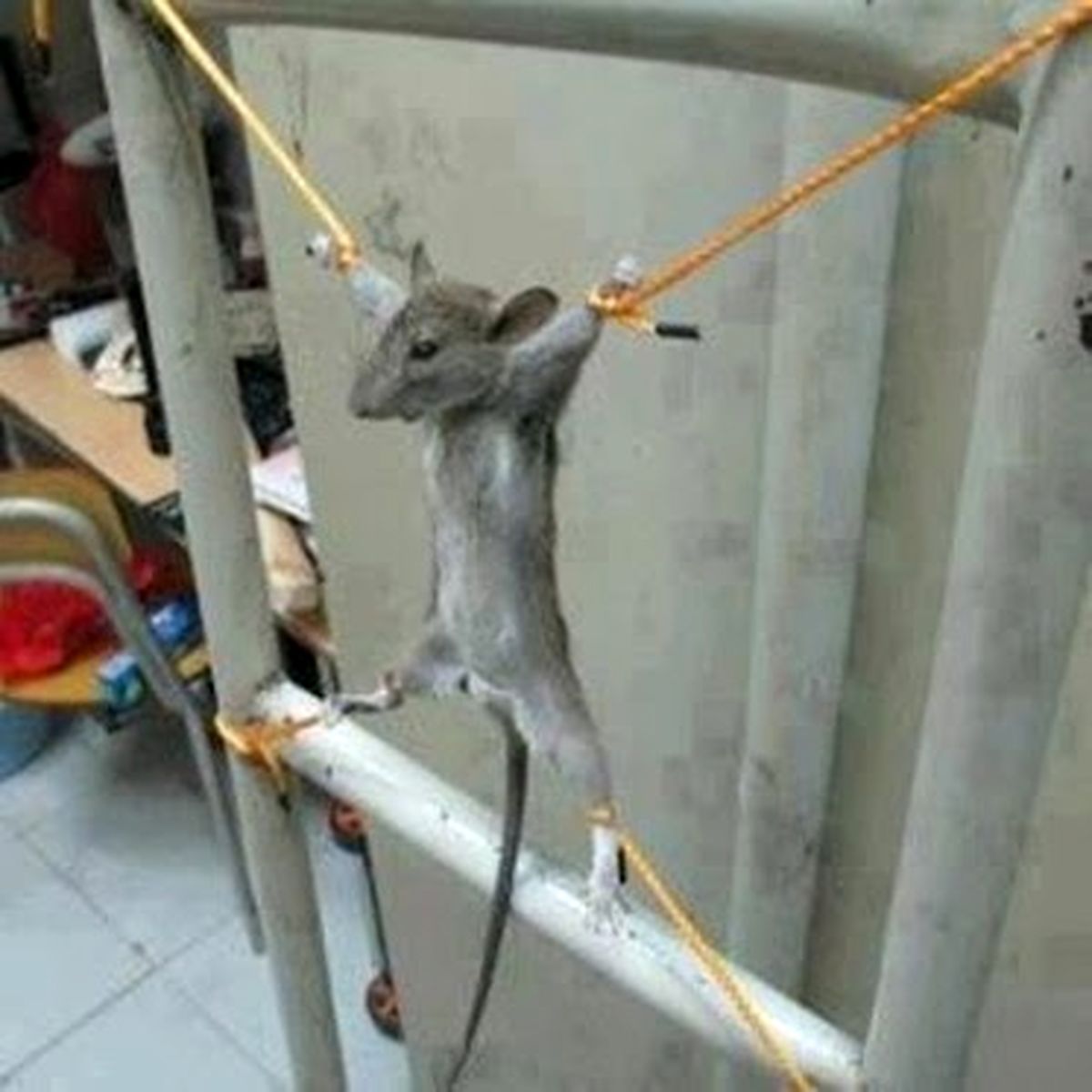 عکس/ خوابگاه پسران!