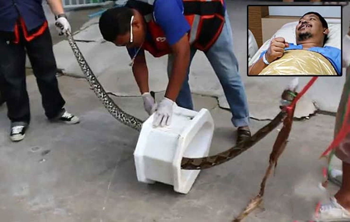 حمله مار ۳ متری از داخل کاسه توالت +عکس