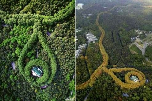 تصویر خیره کننده از چین +عکس