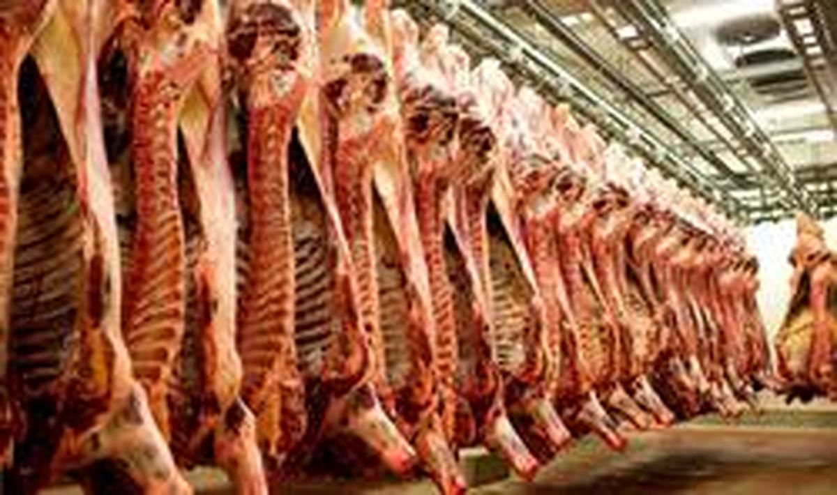 نرخ هر کیلو گوشت گوساله چقدر؟