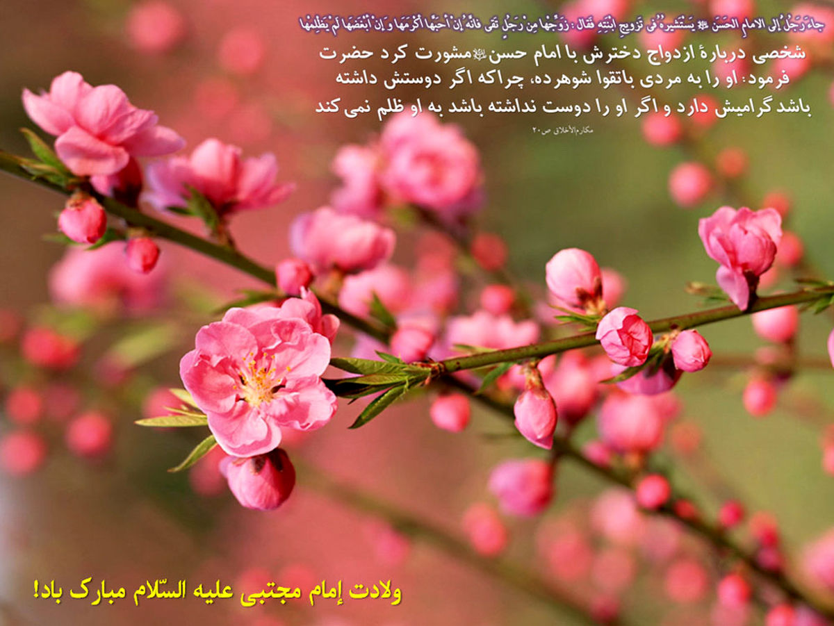 دخترم را به چه کسی بدهم؟/پوستر