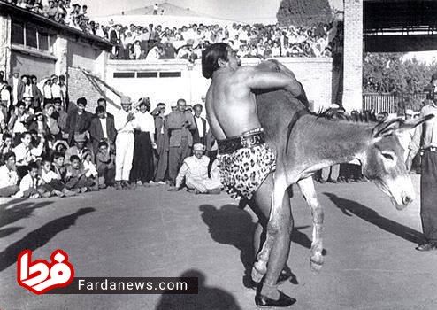 عکس: کشتی پهلوان شیرازی با خر!