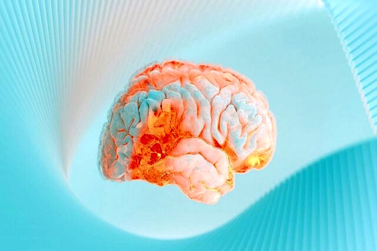 نقش کلسترول در عملکرد مغز