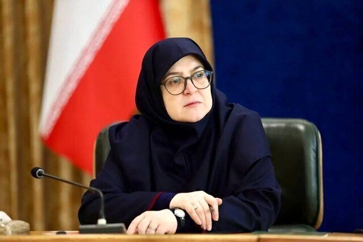 مهاجرانی: دولت برنامهای جز اجرای برنامه هفتم ندارد