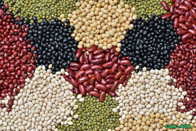 یک کیلو لوبیا چیتی شد ۶۰۰ هزار تومان!