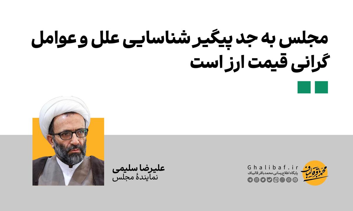 سیلمی: مجلس به جد پیگیر شناسایی علل و عوامل گرانی قیمت ارز است