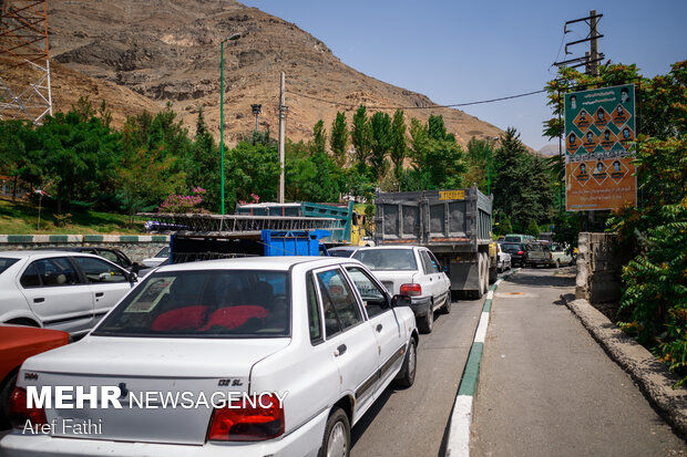 ترافیک سنگین در جاده چالوس