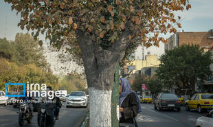 تصاویر: پاییز بی‌رنگ پایتخت