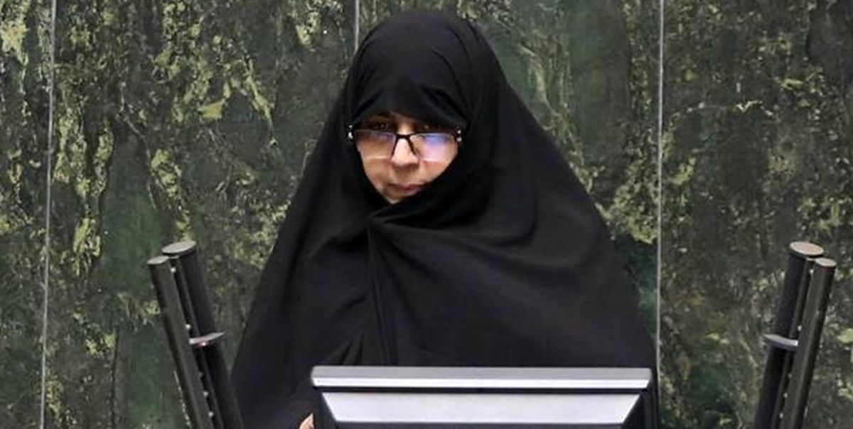 نماینده مجلس: اغتشاشگران دم از آزادی میزنند اما رفتارشان دیکتاتوری است