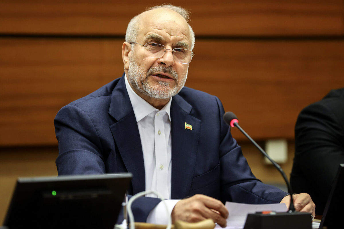 دیدار و نشست قالیباف و هیات پارلمانی با نعمان کورتولموش
