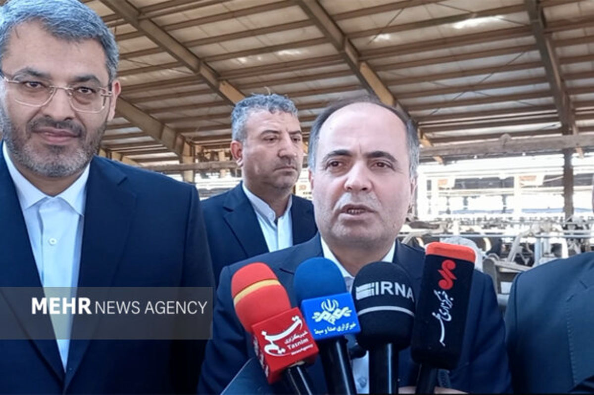 واردات ۲۰۰ هزار تُن گوشت قرمز منتفی شد