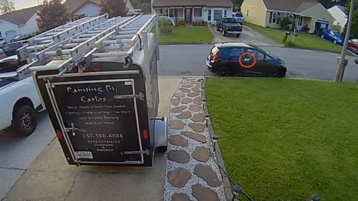 برخورد ماهی پرنده با خودروی پارک شده ! +عکس