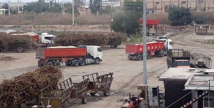 انتشار تصاویر جنجالی از شرکت هفت تپه در فضای مجازی