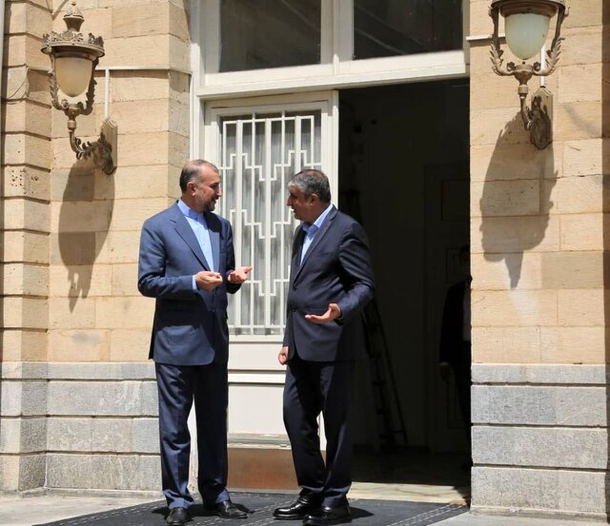 نشست مشترک امیرعبداللهیان و رییس سازمان انرژی اتمی +عکس