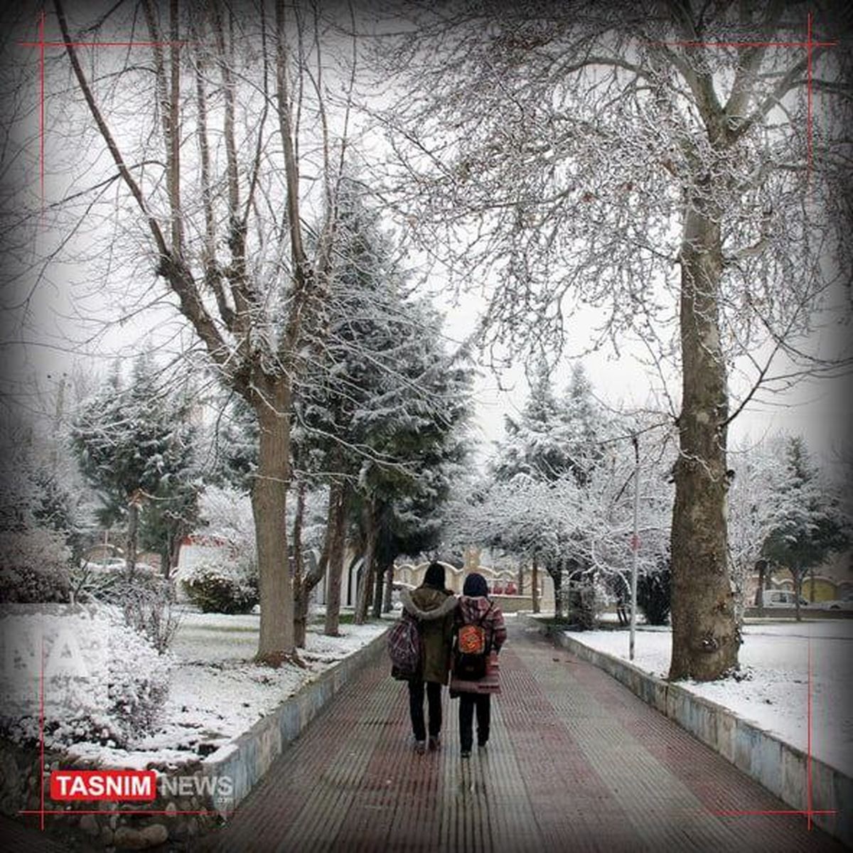 تعطیلی مدارس امروز یکشنبه 4 دی/ مدارسی که امروز مجازی شدند