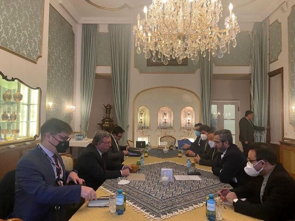 اولیانوف: عصر امروز دیدار خیلی مفیدی با باقری کنی داشتم