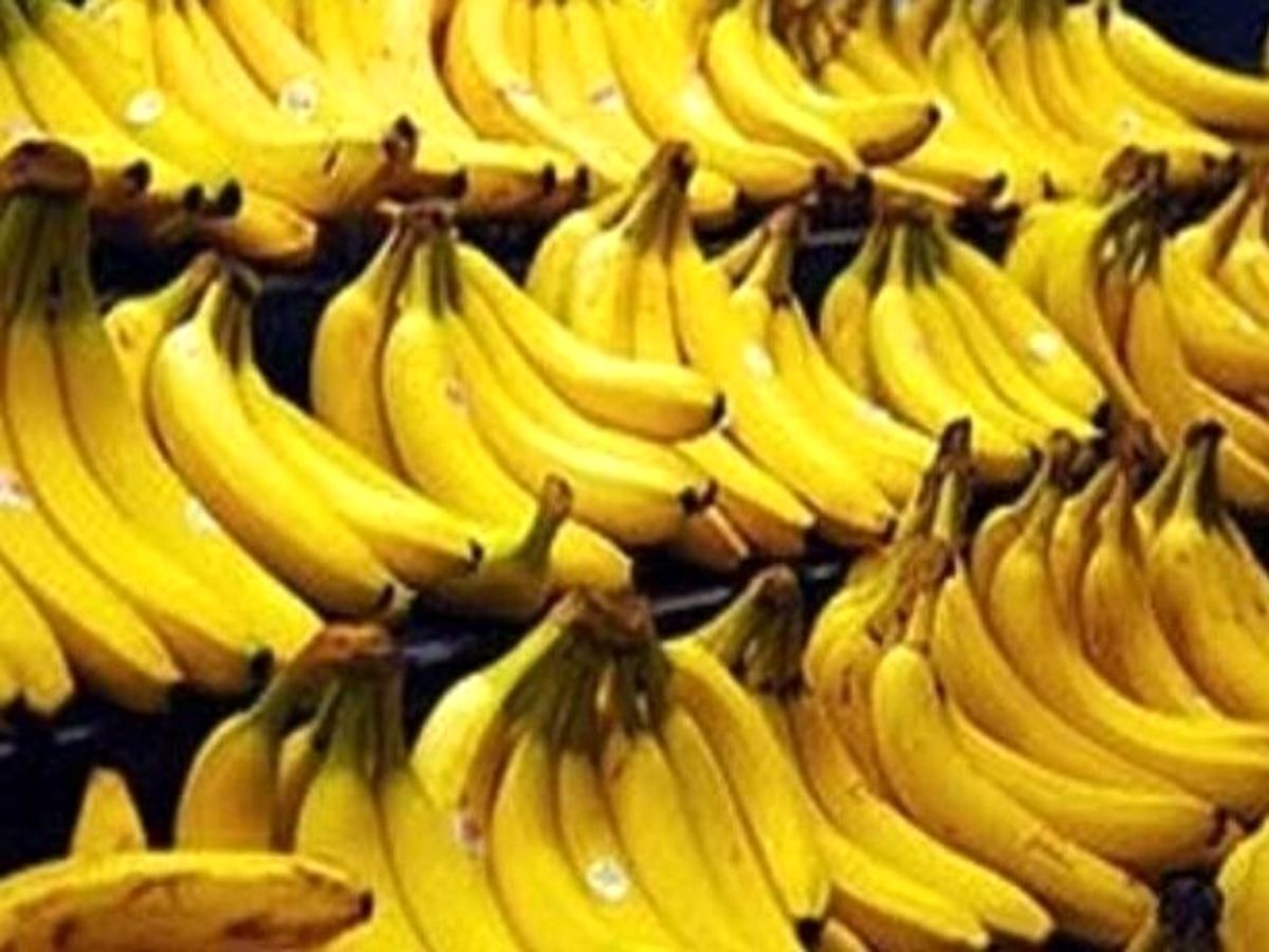 شرط واردات موز برداشته شد؟