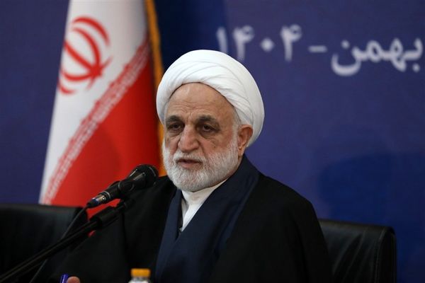 اژه‌ای: متهمان و محکومان اغتشاشات اخیر در فهرست‌های عفو قرار نمی‌گیرند