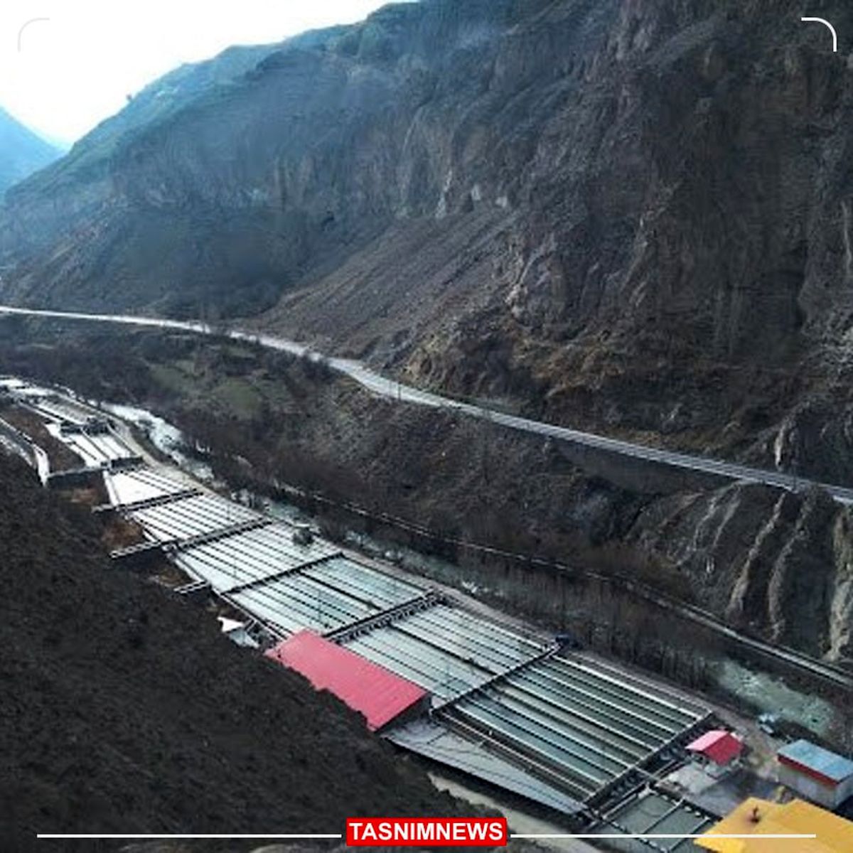 شایعات درباره آلودگی رودخانه هراز /ورود فرمالین به رودخانه صحت دارد؟ 