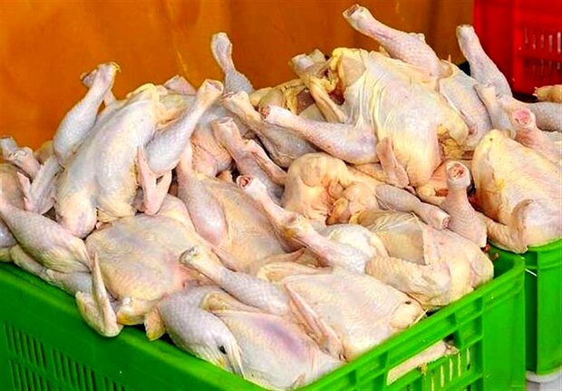از بازار مرغ چه خبر؟