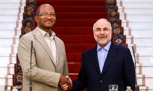 تصاویر: کنفرانس خبری مشترک رؤسای مجالس ایران و اتیوپی