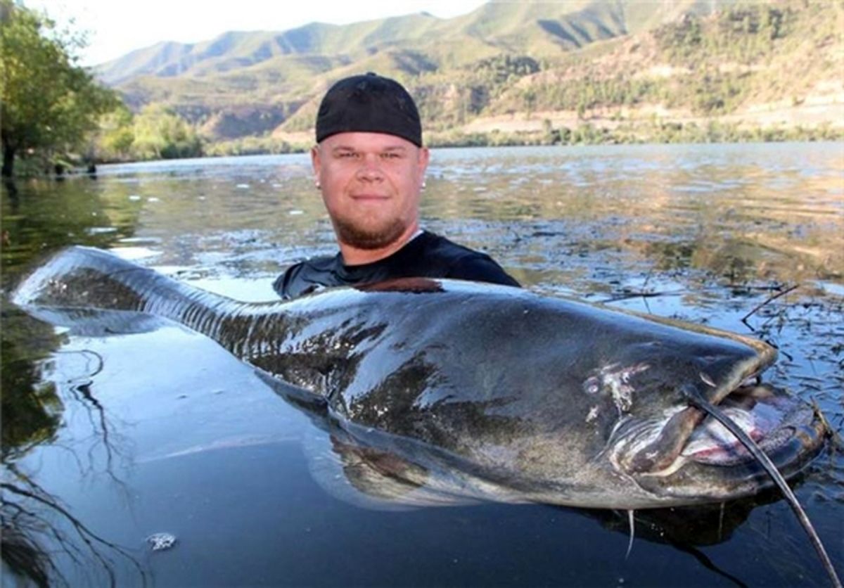 شکار هیولا/تصاویر