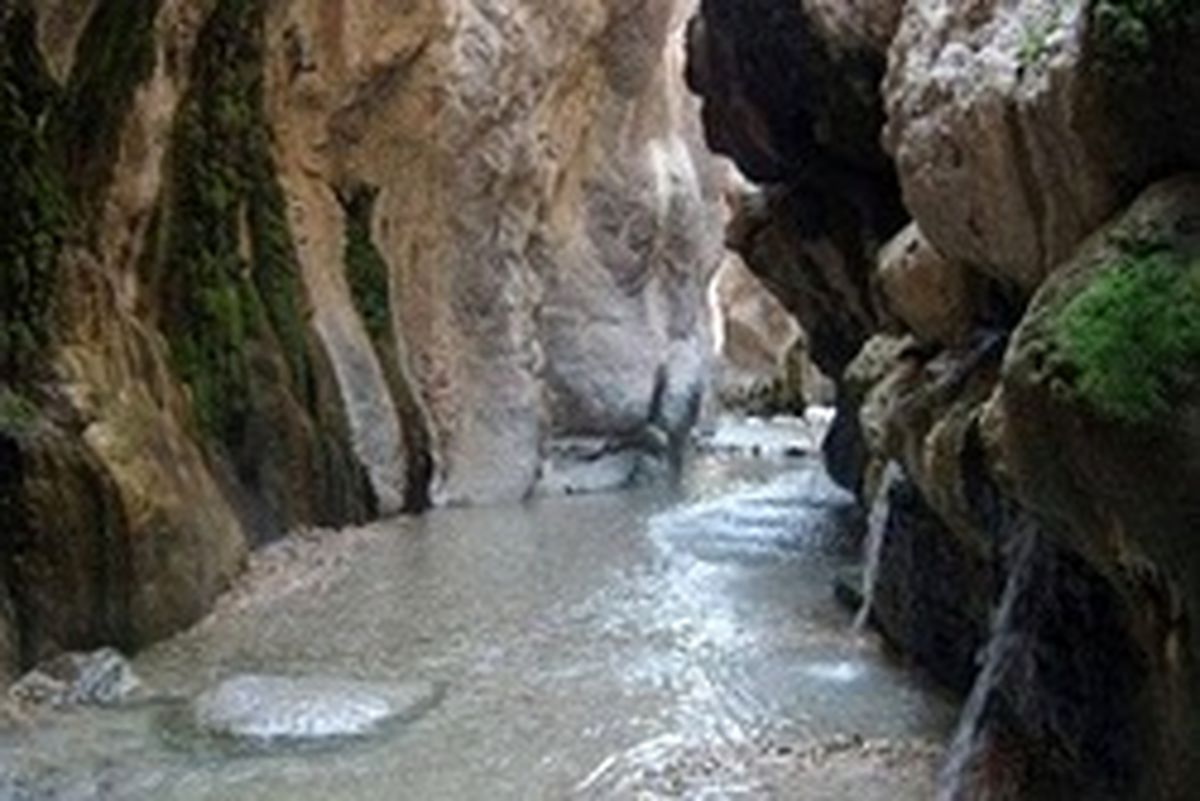 چشمه مرتضی علی پدیده‌ای نادر در دل کویر