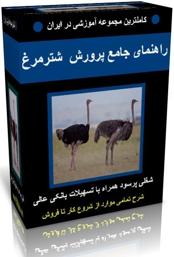 تصویر: راهنمای پرورش شتر مرغ!