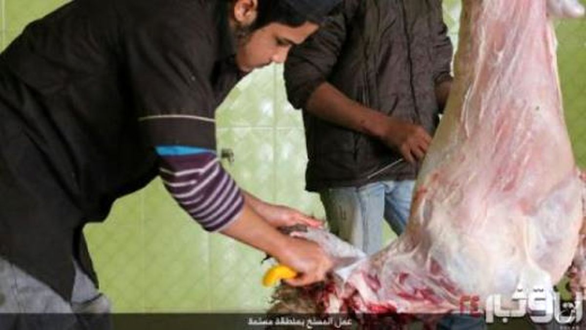 عکس: کشتارگاه داعش