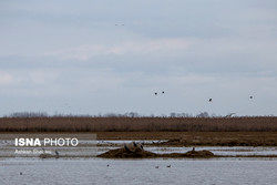 تهران گرمتر می‌شود