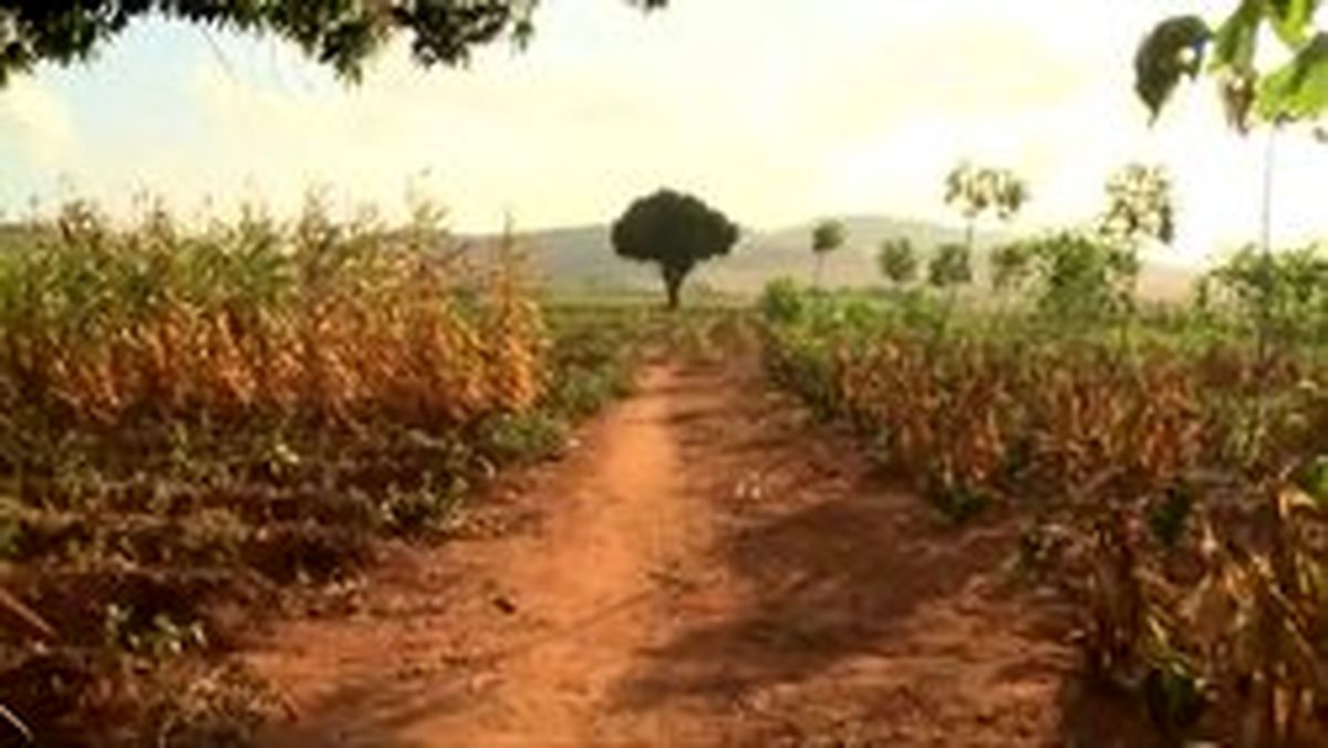 اعلام وضعیت اضطراری خشکسالی در برزیل