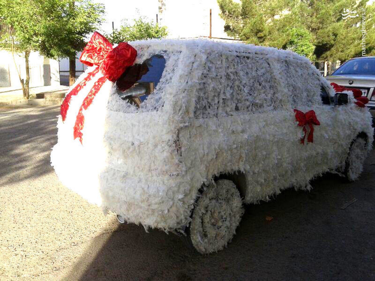 تصاویر: ماشین عروس دیدنی با تزیین پرمرغ