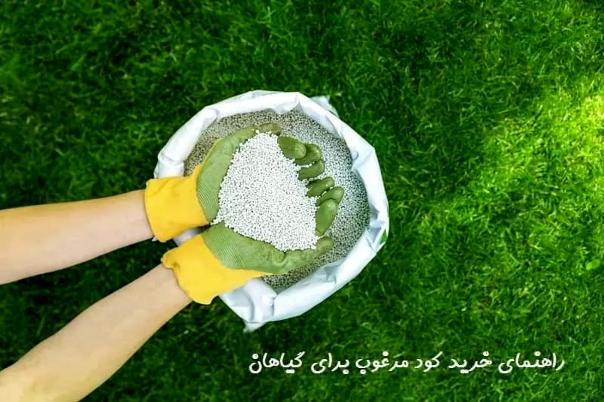 راهنمای خرید کود مرغوب برای گیاهان
