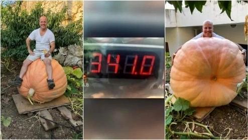 روش خاص مرد مراکشی برای کاشت کدو تنبل‌های غول پیکر