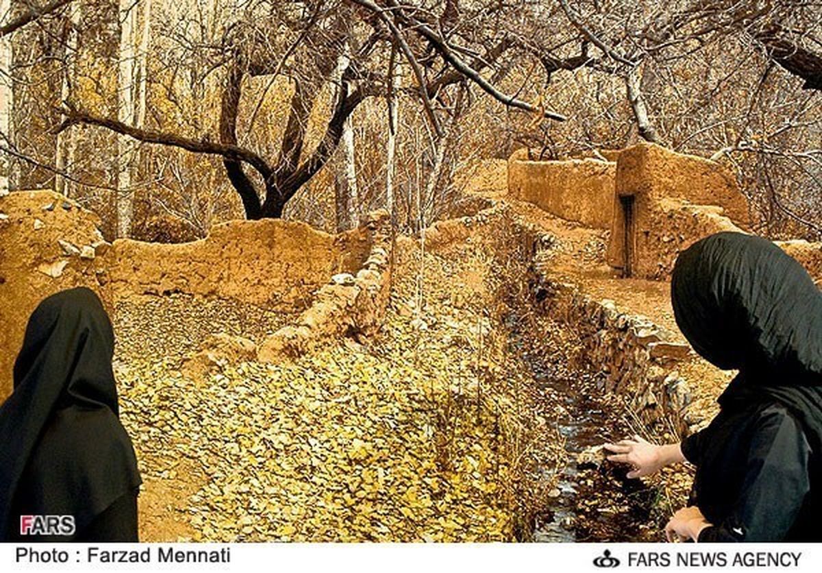 طبیعی ترین فرش جهان/عکس