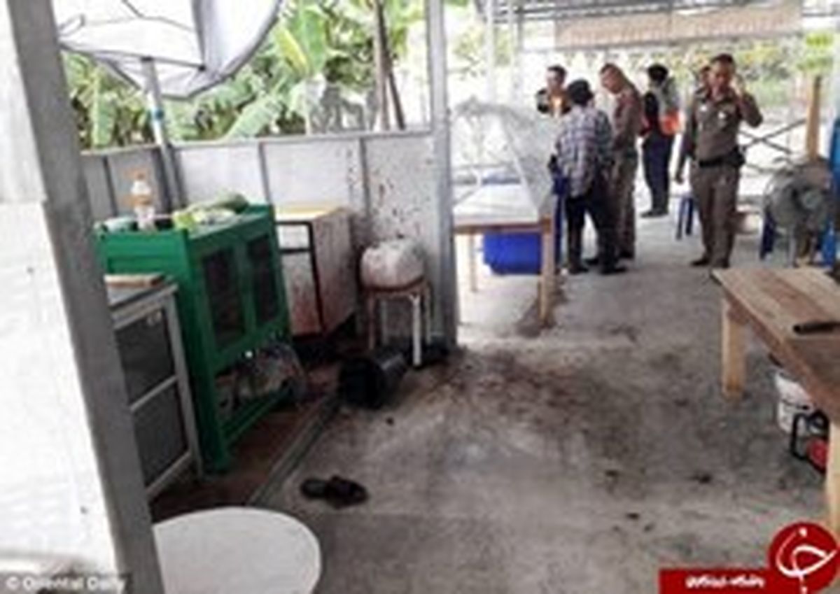 سرو گوشت انسان در رستوران گیاه خواران +عکس