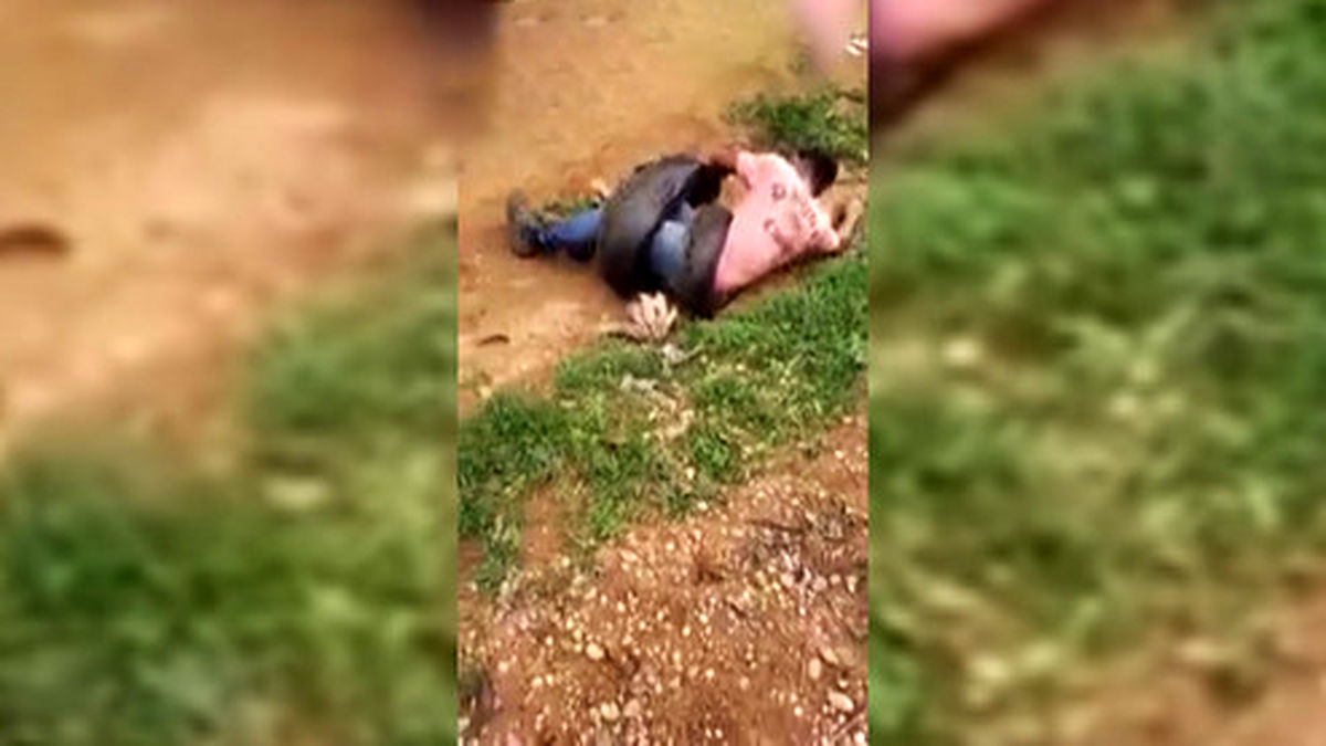 لحظات دلهره آور شکار شدن یک مرد توسط مار آناکوندا +فیلم