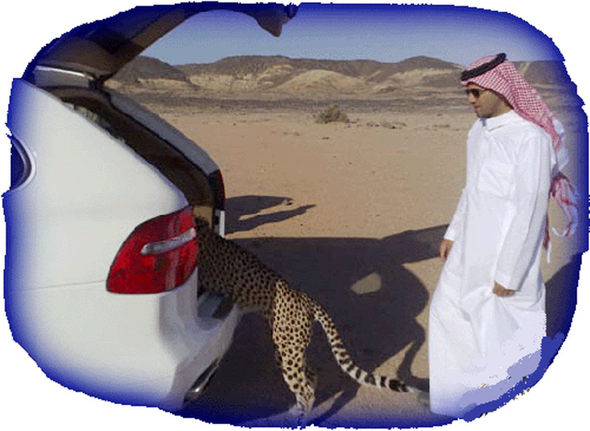 تصاویر: سرگرمی جدید عرب‌ها!