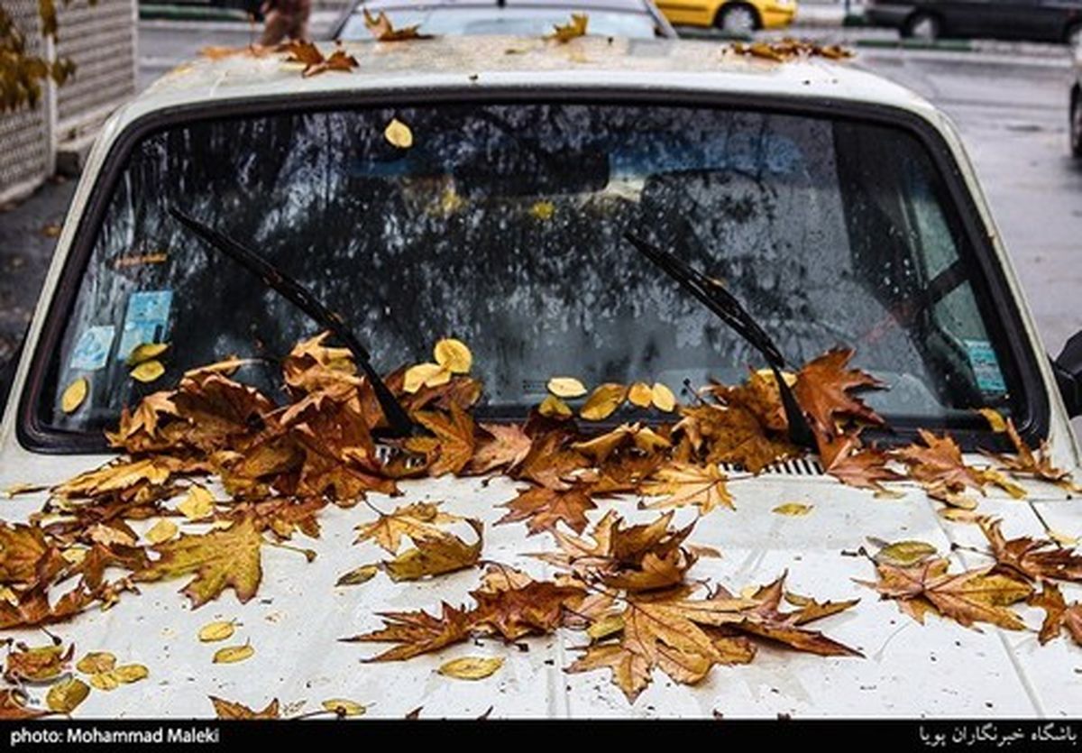 تصاویر: پاییز تهران را دیده اید؟